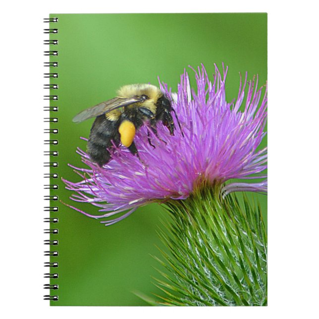 Bee and Thistle Notebook (Front)