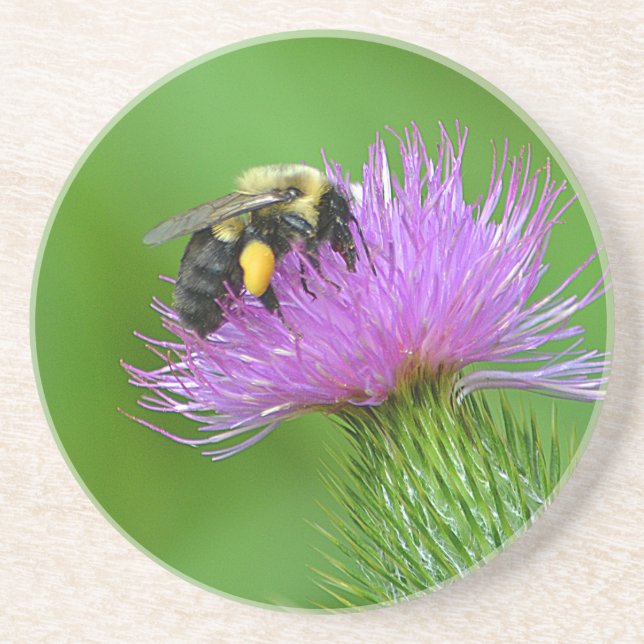 Bee and Thistle Sandstone Coaster (Front)