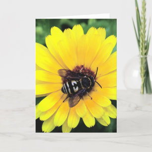 Bee and Yellow Flower Card
