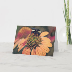 Bee Art Bee on Orange Coneflower Art Note Card