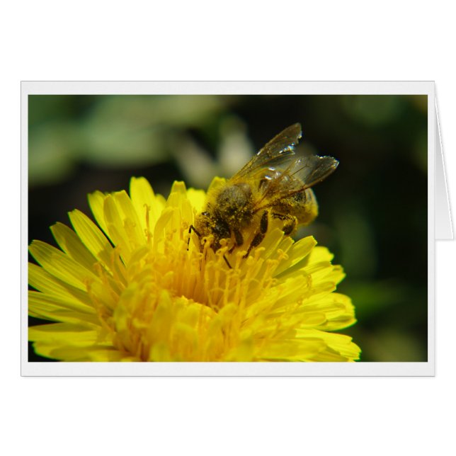 Bee at Work Card (Front Horizontal)