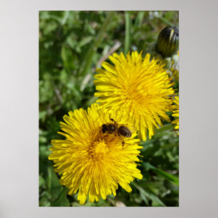 bee at work poster