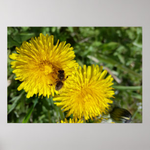 bee at work poster