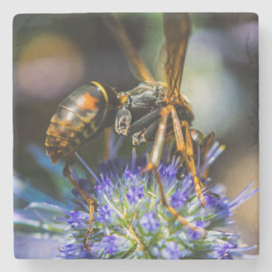 Bee Aware Marble Stone Coaster