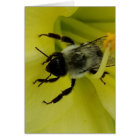 BEE AWESOME - CHRISTIAN GREETING