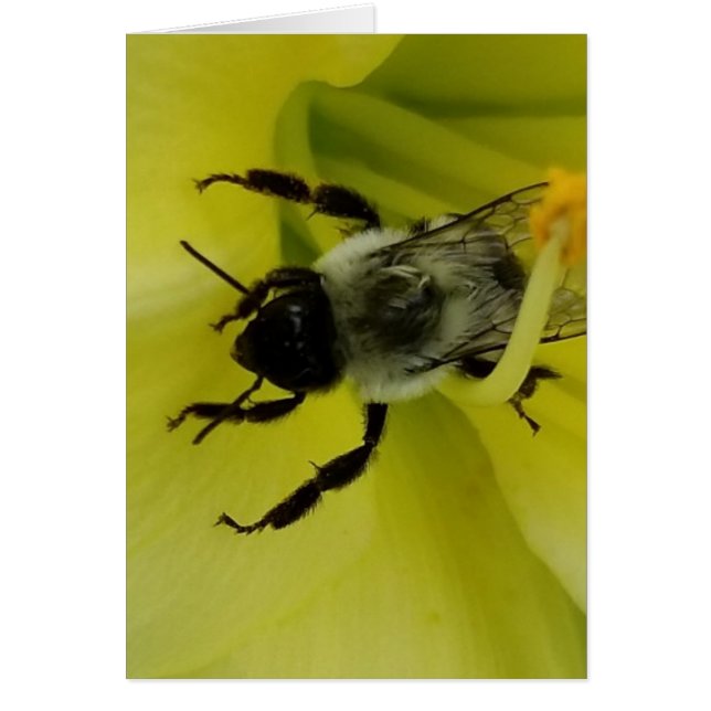 BEE AWESOME - CHRISTIAN GREETING (Front)