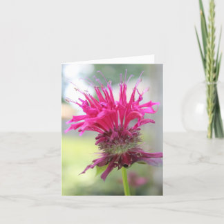 Bee Balm Closeup Notecard