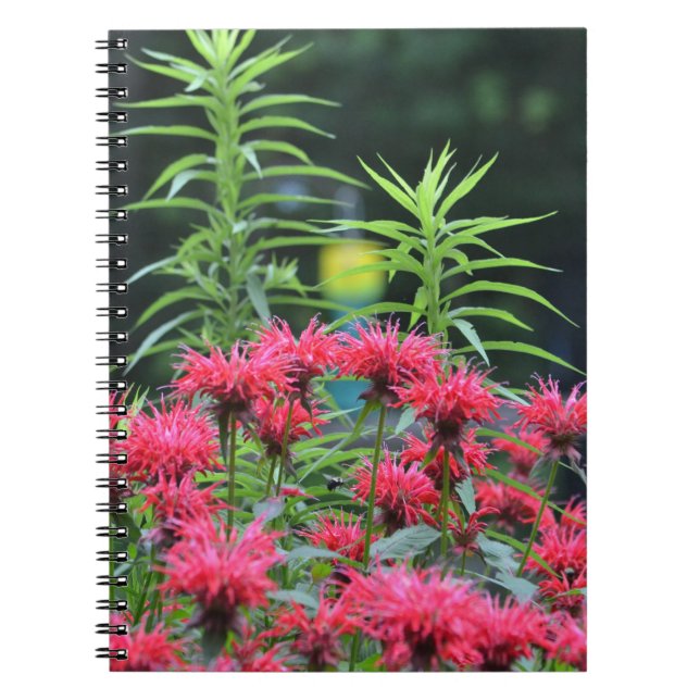 Bee Balm Notebook (Front)