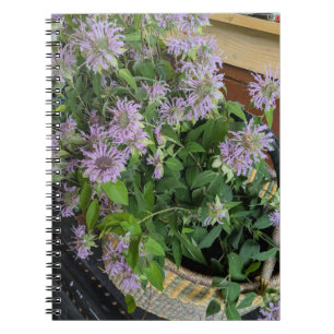 Bee Balm Notebook