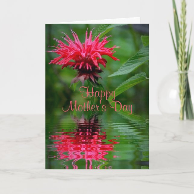 Bee Balm Reflection Mother's Day Card (Front)