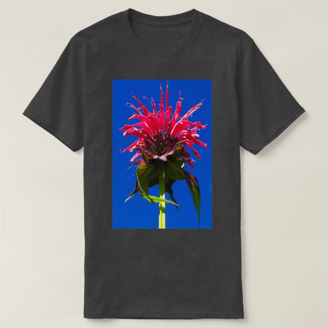 Bee balm T-Shirt (Design Front)
