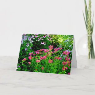 Bee Balm Thank You Card