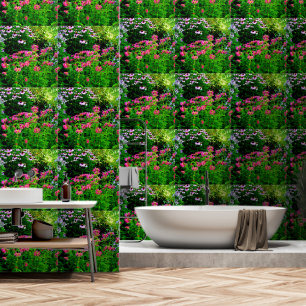 Bee Balm Wallpaper