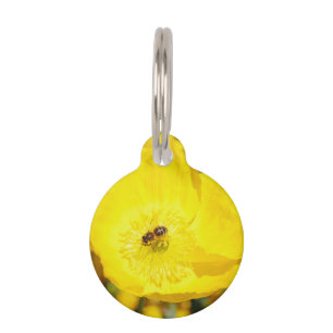 Bee Bathed in Yellow Pet Tag