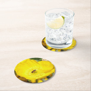 Bee Bathed in Yellow  Round Paper Coaster