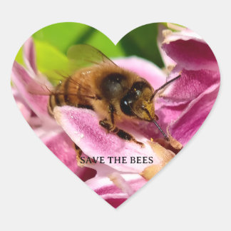 Bee between pink flowers nature photo sticker