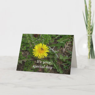 Bee Birthday For All Card