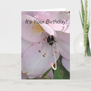 Bee Bottom Birthday Card