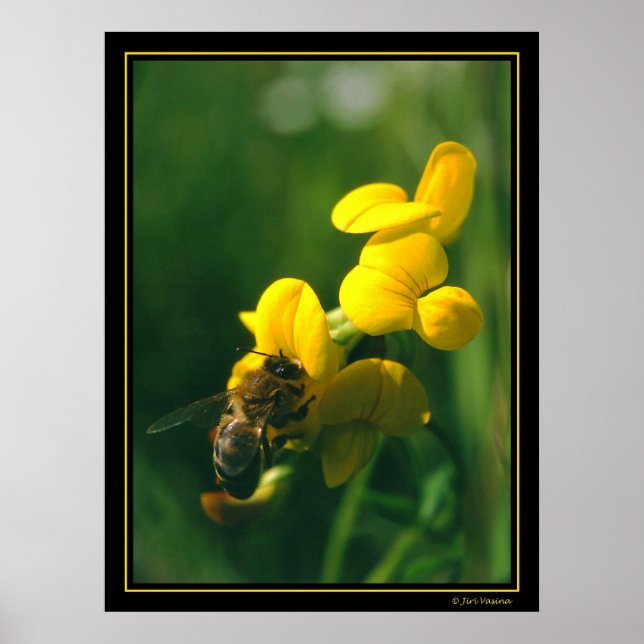 Bee Breakfast Poster (Front)