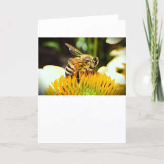 Bee, card