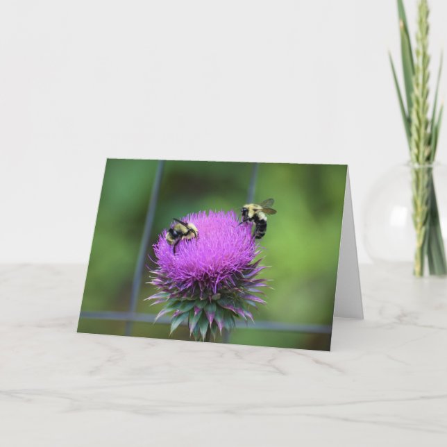 Bee, card (Front)