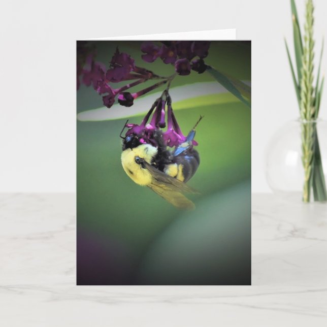 Bee, card (Front)