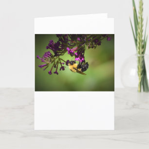 Bee, card