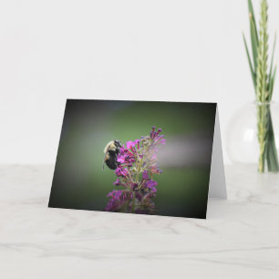 Bee, card