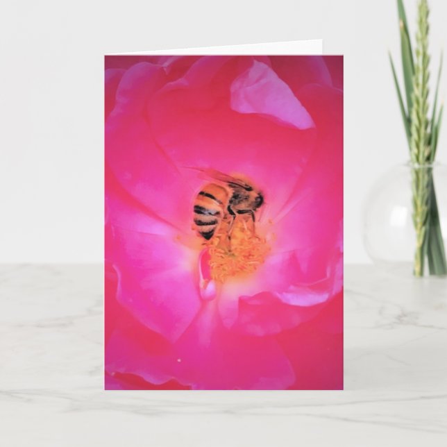Bee, card (Front)