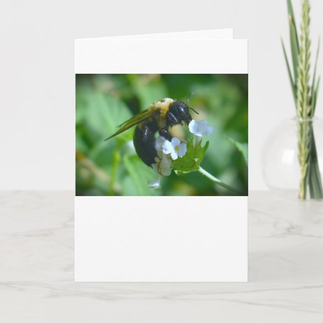 Bee, card (Front)