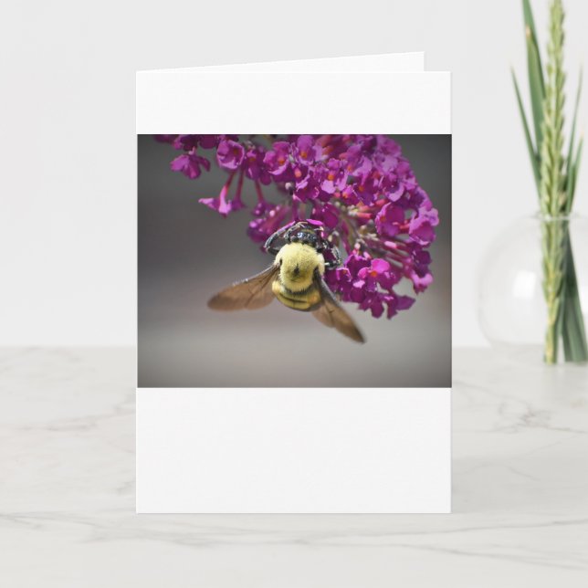 Bee, card (Front)