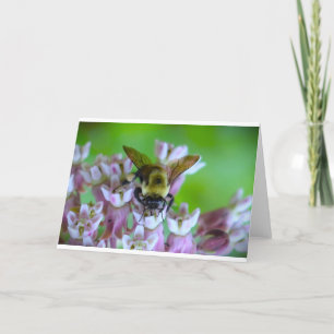 Bee, card