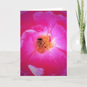 Bee, card