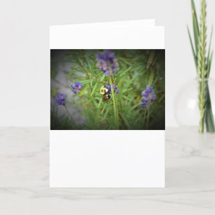 Bee, card