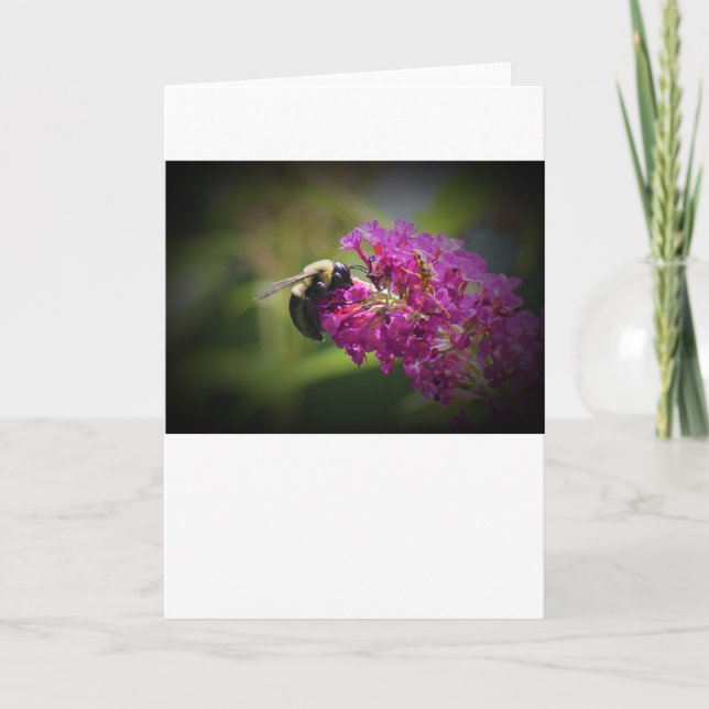 Bee, card (Front)