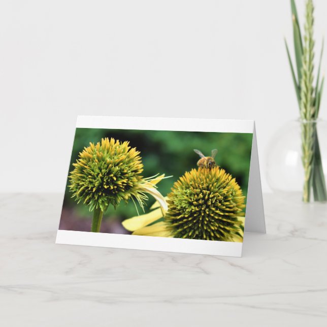 Bee, card (Front)