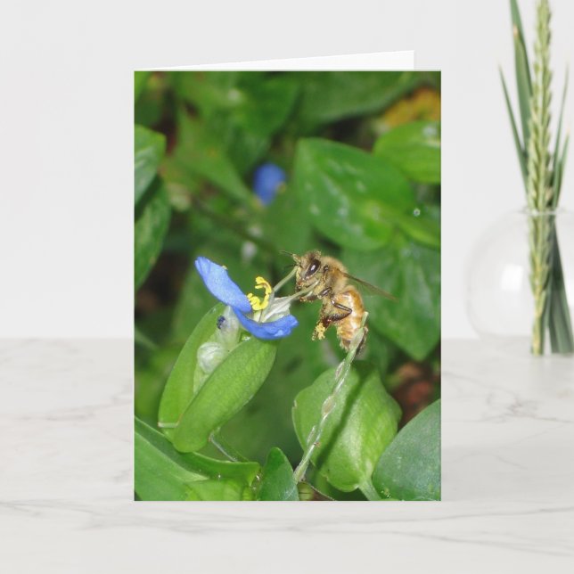 Bee Card (Front)