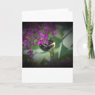 Bee, card