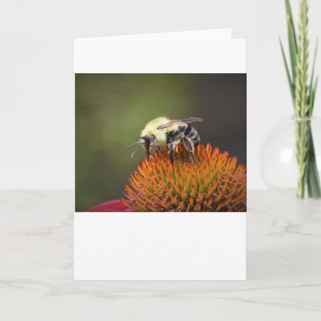 Bee, card (Front)