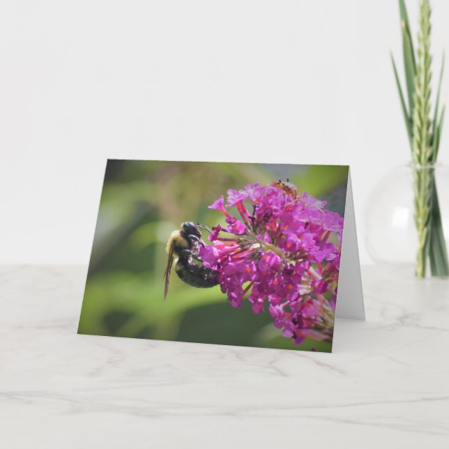 Bee, card (Front)