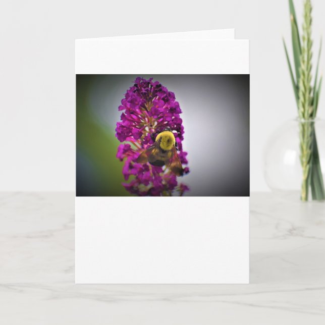 Bee, card (Front)