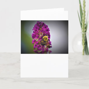 Bee, card