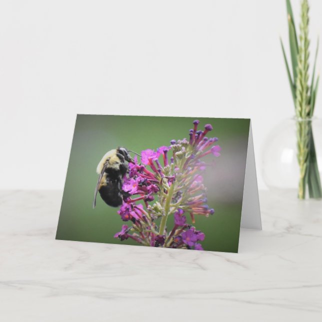 Bee, card (Front)