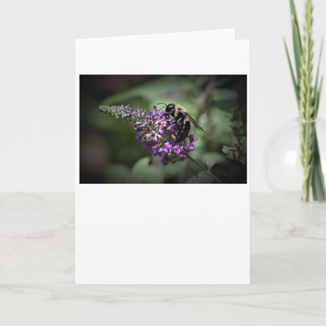 Bee, card (Front)