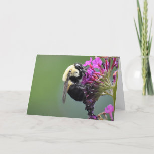 Bee, card
