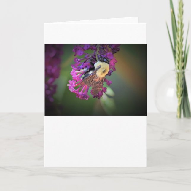 Bee, card (Front)