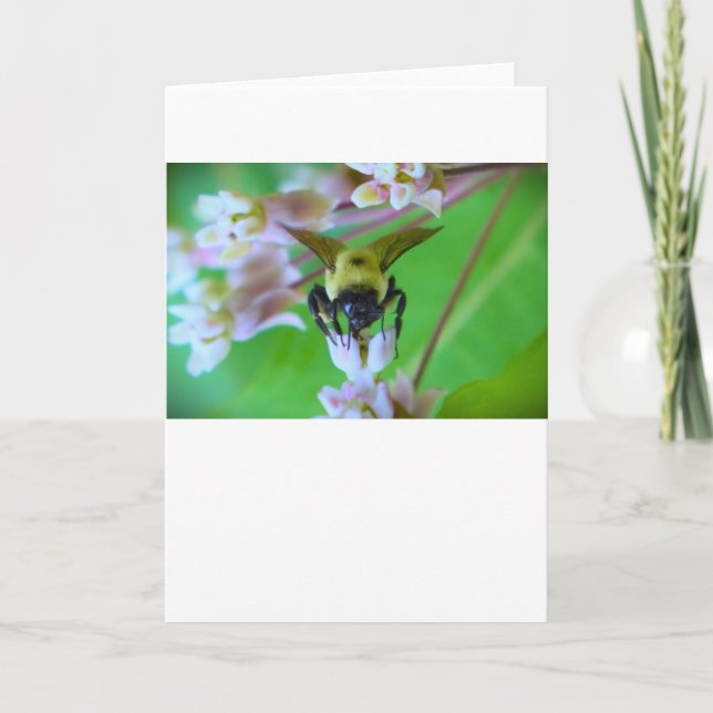 Bee, card (Front)