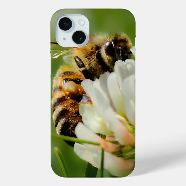 Bee case (Back)