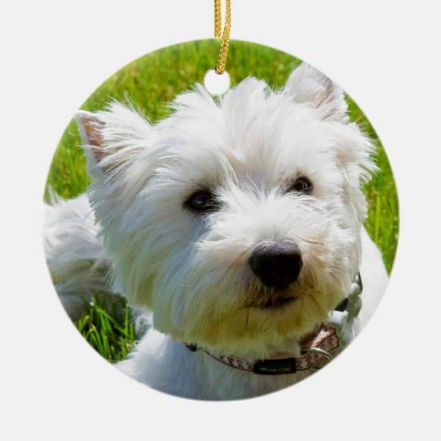 bee ceramic ornament (Front)