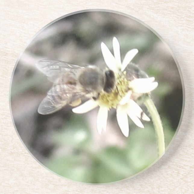 Bee Coaster (Front)